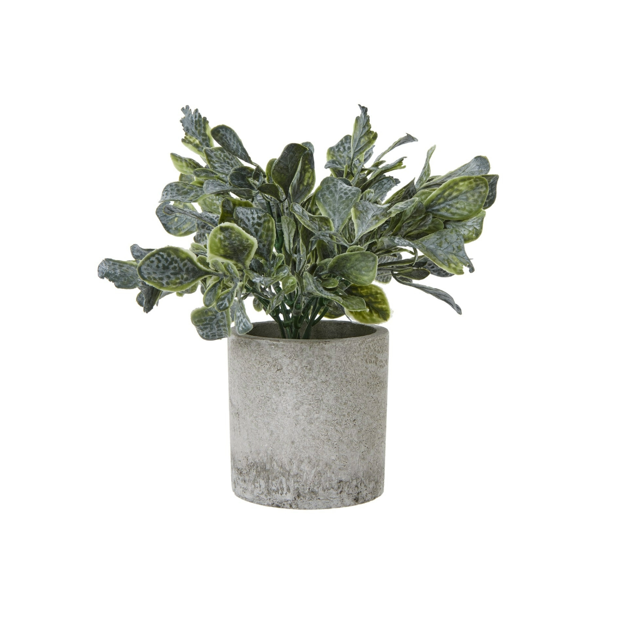 Small Giana Eucalyptus Plant In Grey Pot - Home Chairs