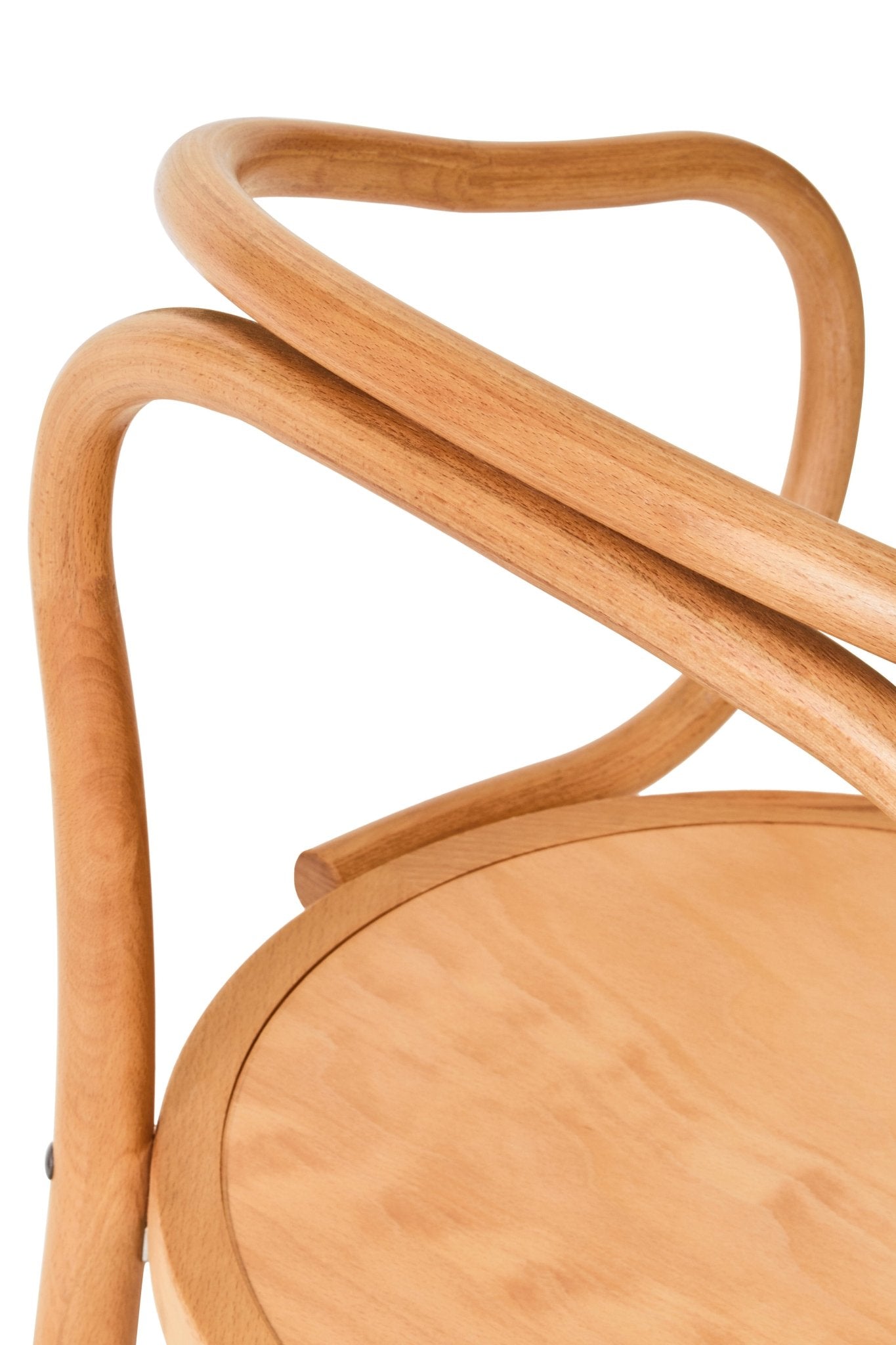 Fern Bentwood Dining Chair - Home Chairs