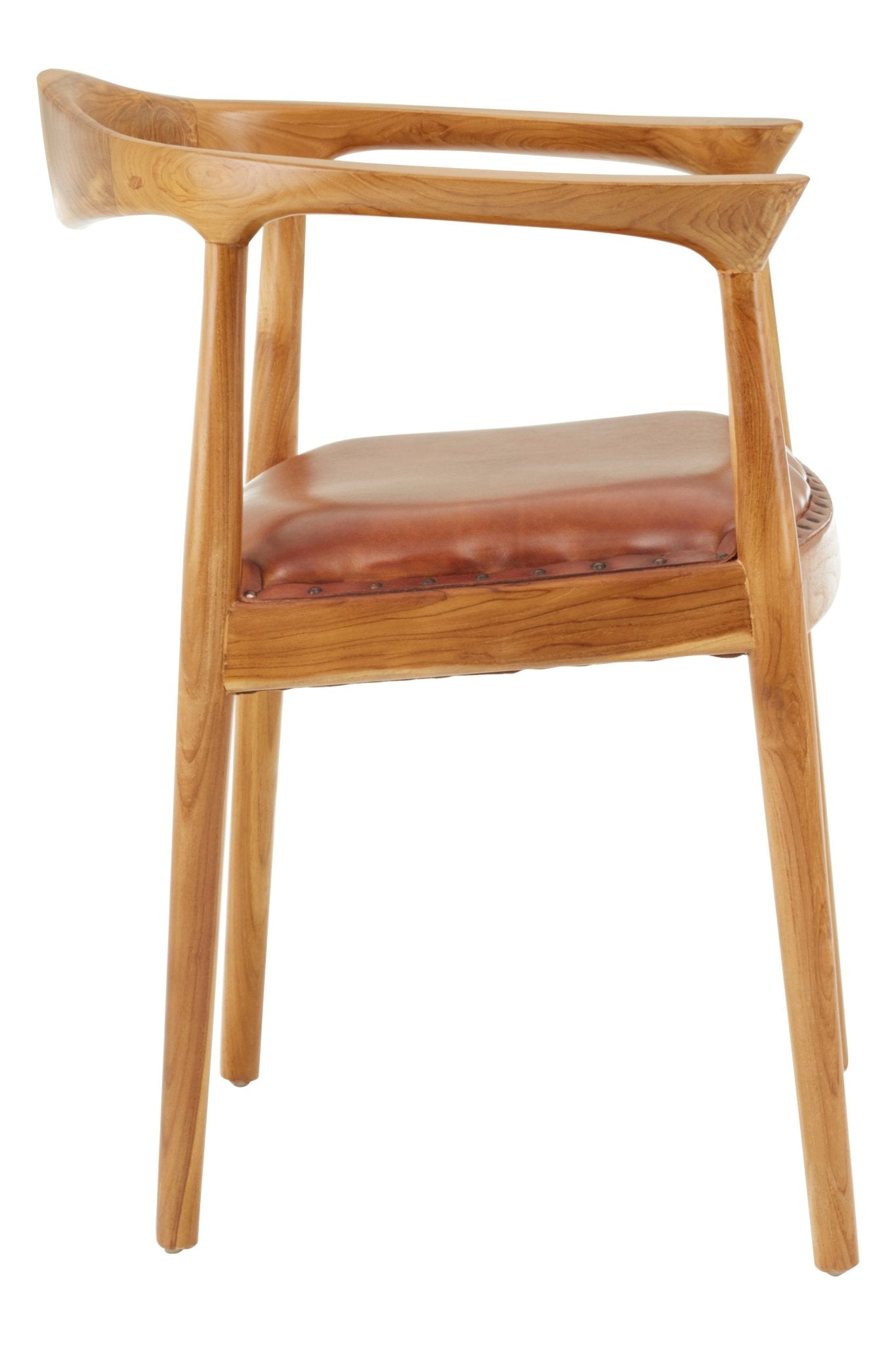 Forest Dining Chair - Home Chairs