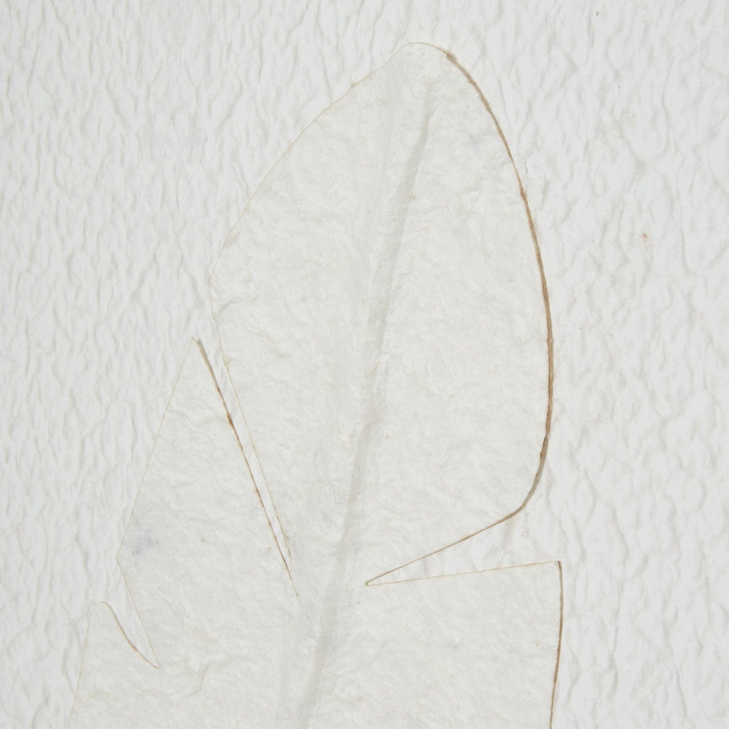 Quill Feather Art - Home Chairs