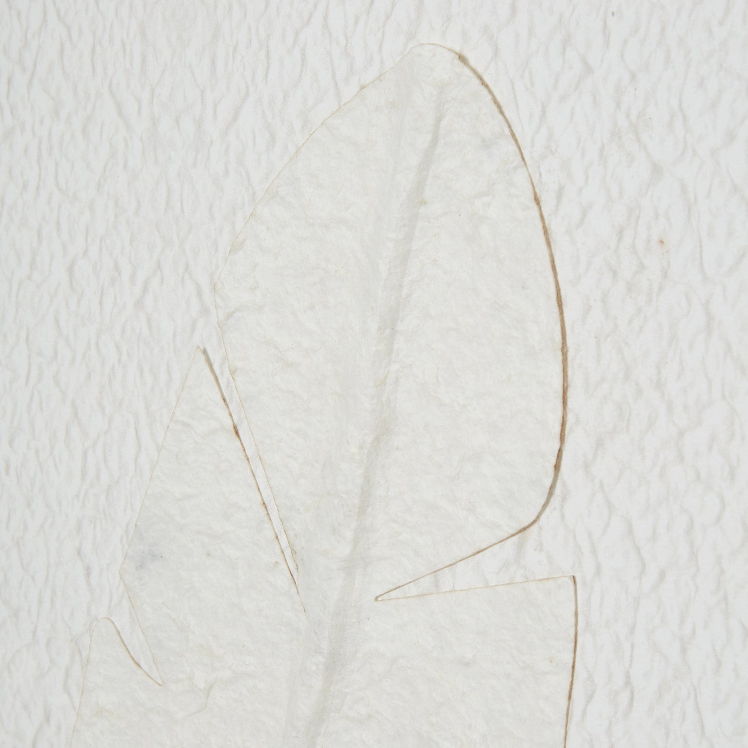 Quill Feather Art - Home Chairs