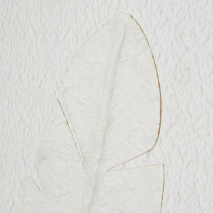 Quill Feather Art - Home Chairs