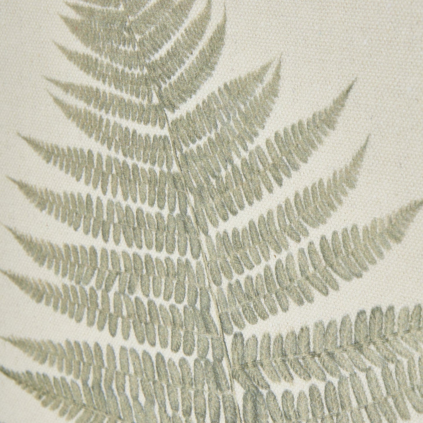 Texture Bracken Fern - Home Chairs