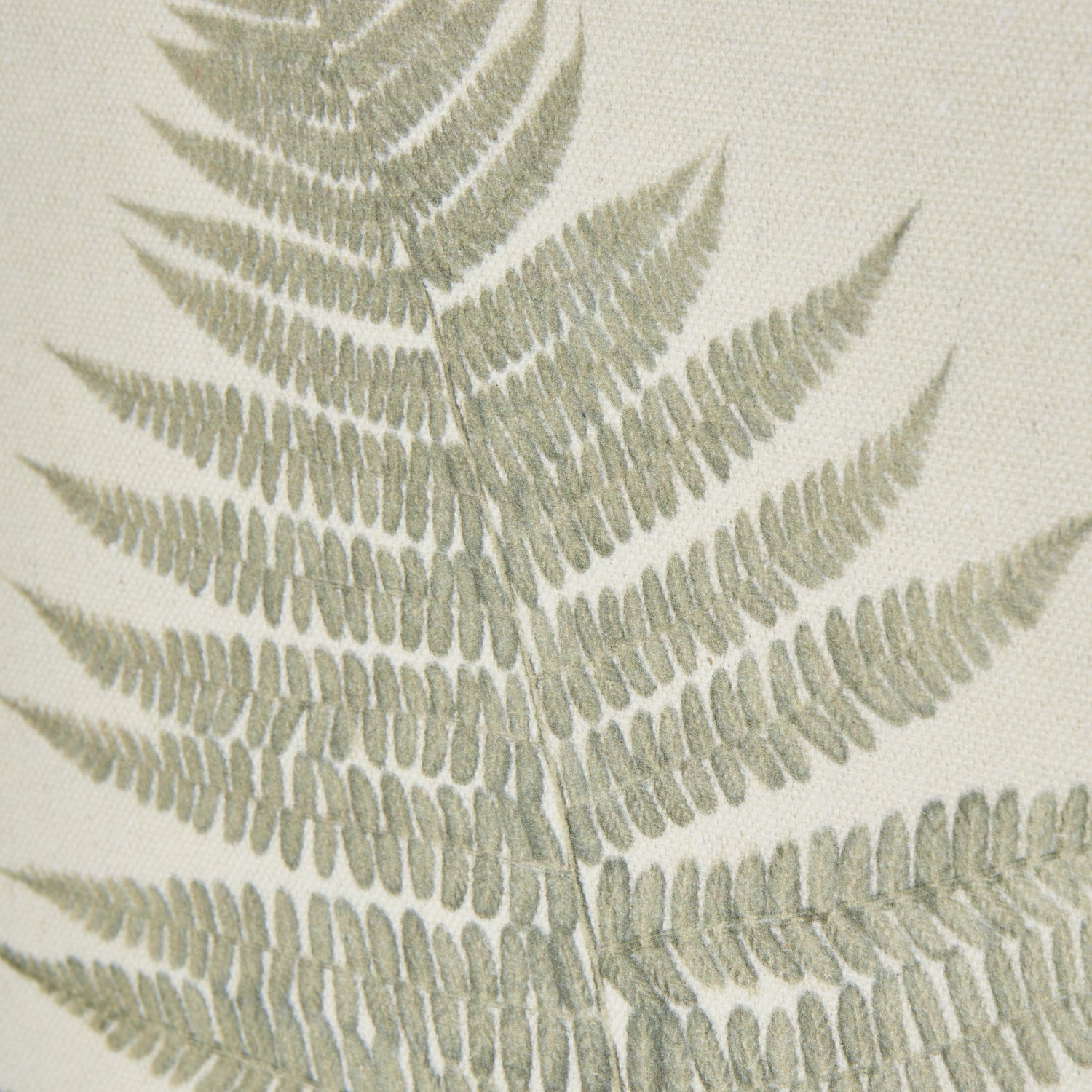 Texture Bracken Fern - Home Chairs