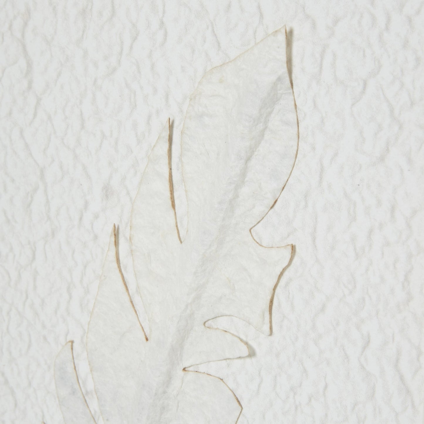 White Feather Art - Home Chairs