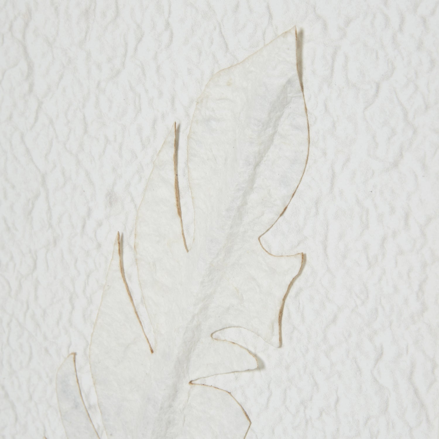 White Feather Art - Home Chairs