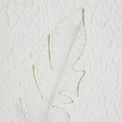 White Feather Art - Home Chairs